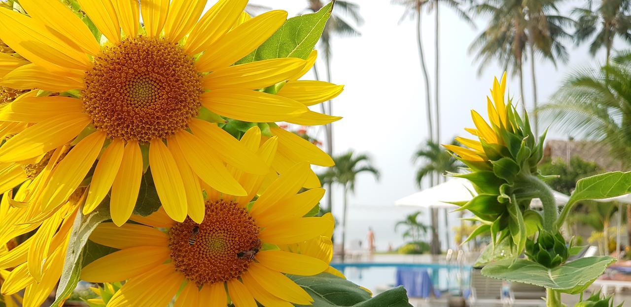 Sun & Sands Beach Hotel Mũi Né Exteriér fotografie